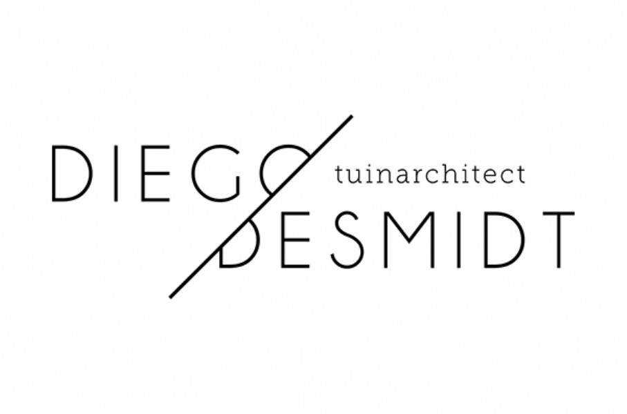 Diego Desmidt